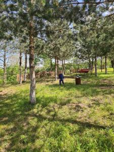 white home sapanca tinyhouse