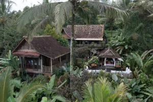 Nienté Bali - Penebel