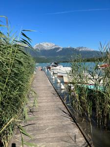 Villas VILLA CORNELIA : photos des chambres