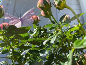 3 person holiday home in UDDEVALLA-By Traum