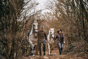 Tmbins barn - nature, horses, family