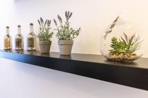 Katarina Apartment Blaha Square