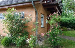 Amazing Home In Duingen With Wifi
