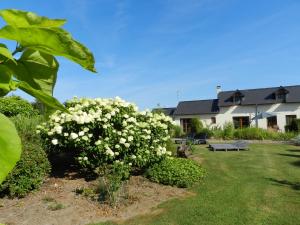 Maisons de vacances Gite La Grenouillere : photos des chambres