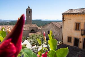 obrázek - Bed & Breakfast Zia Menga - Luogosanto Sardinia