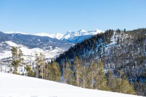 1 Bedroom Premier Mountain Condo In River Run Village Just A Short Walk To Shopping, Dining, And Skiing