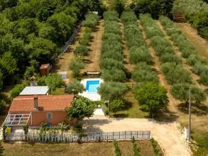 Casa Oliveto - Kavranac