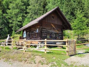 Bergheim Schmidt Ski-In Ski-Out Appartements Almhütten im Wald