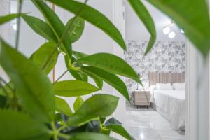 Apartamento La Magnolia de Cádiz