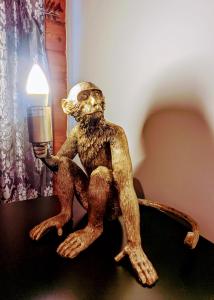 kaoglen Wild-Hot tub-Cairngorms-Pet Friendly