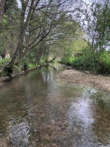 B&B / Chambres d'hotes Le Moulin d'Audenfort : photos des chambres