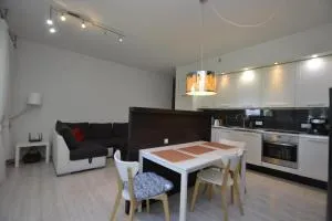 Apartament Bursztynowy z garażem -Centrum Gliwic - 扎布热