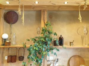 Chata Mazurska Lipowo