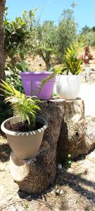 Lily Home_Lefkada ~ Private Country house