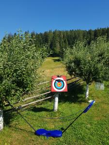 Pensiunea Daria Putna