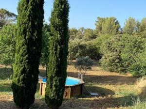 Maisons de vacances Maison dans la pinede : photos des chambres