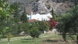 Villa Dunes 350m from the sandy beach