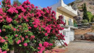 Villa Dunes 350m from the sandy beach