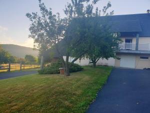 Maisons de vacances Maison de 2 chambres avec vue sur la ville jardin clos et wifi a Saint Remy : photos des chambres