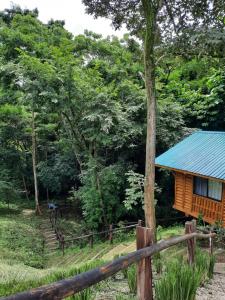 Eco-Turismo Guayacanes