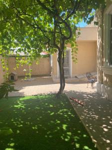 Apartament la curte Reset Club