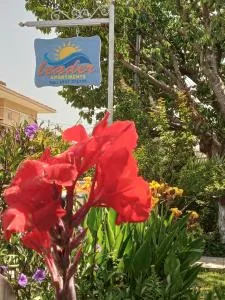 领先者公寓 - 米提卡斯