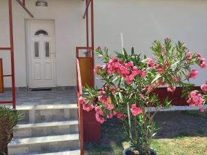 Rákos-patak Family House Garden & Free Parking