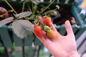 Cozy apartment in Batumi