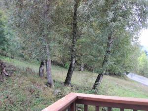 Bel appartement proche centre, 2 chambres, rénové, balcon, 6 pers - FR-1-181-2445