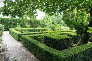 La Castagnère de Bergory