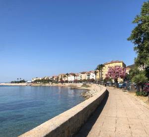 Ajaccio : appartement centre historique