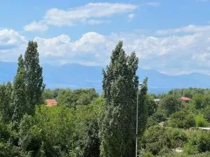 Leveski Apartment - Velestovo