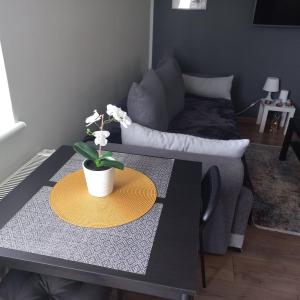 Apartament Plater