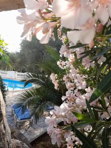 Villa Dedin