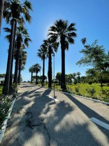 Brand New Apartament Durres