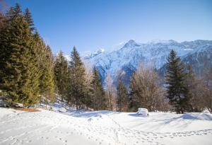 Chalets Chalet 8 pers Massif du Mont-Blanc - Les Houches : photos des chambres