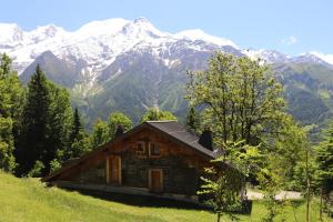 Chalets Chalet 8 pers Massif du Mont-Blanc - Les Houches : photos des chambres