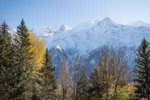 Chalets Chalet 8 pers Massif du Mont-Blanc - Les Houches : photos des chambres