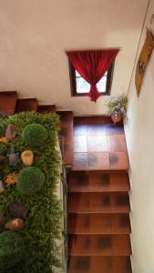 Hostel Spa Mediterranea