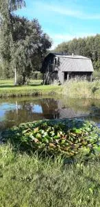 Pirtsnamiņš - 维萨吉纳斯