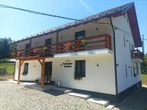 Pensiunea Teodora - Izvoru Dragoş