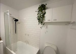 South Melbourne Central 1BR - 106