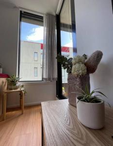 South Melbourne Central 1BR - 106