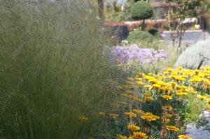 Les Jardins De Santa Giulia - Charmante chambre dhte