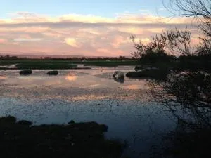 Isola della Cona - Riserva naturale Foce dell'Isonzo - San Lorenzo