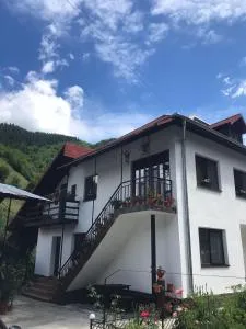 Casa Elena - Voineasa