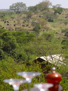 Serengeti Migration Camp