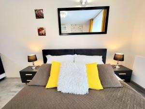 Cracow NOVUM Apartment Downtown free parking 4 os