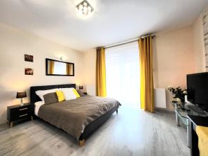 Cracow NOVUM Apartment Downtown free parking 4 os