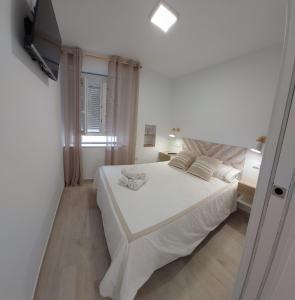 Apartamentos Centro Confor 3